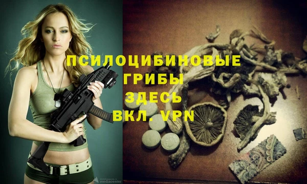бошки Семилуки