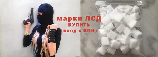 ПСИЛОЦИБИНОВЫЕ ГРИБЫ Богданович