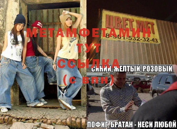 ПСИЛОЦИБИНОВЫЕ ГРИБЫ Богданович