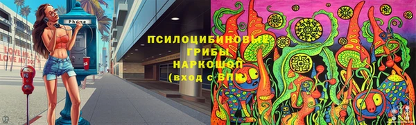 ПСИЛОЦИБИНОВЫЕ ГРИБЫ Богданович
