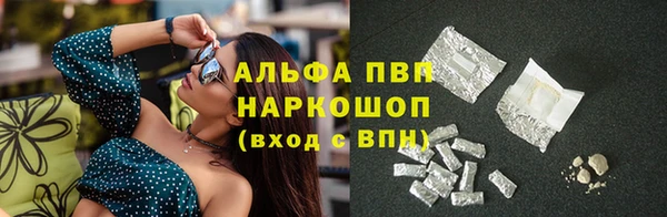 ПСИЛОЦИБИНОВЫЕ ГРИБЫ Богданович