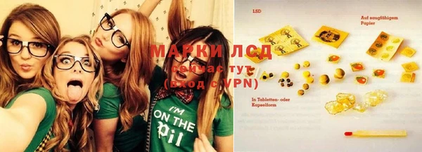 ПСИЛОЦИБИНОВЫЕ ГРИБЫ Богданович